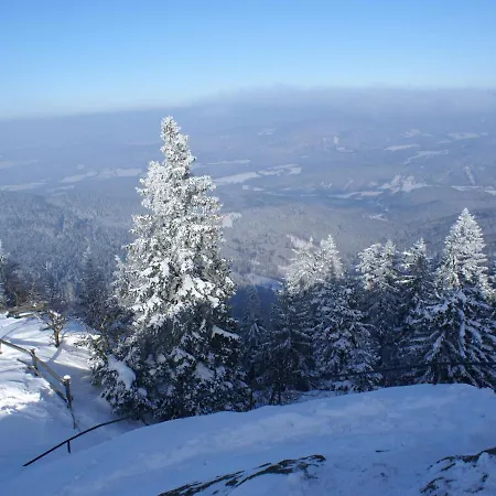 In The Bavarian Forest With Sauna Appartement *