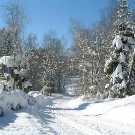 In The Bavarian Forest With Sauna