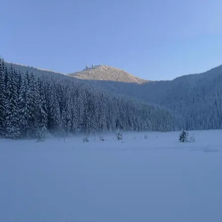 In The Bavarian Forest With Sauna Appartement *
