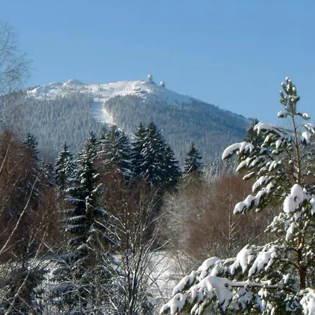Appartement In The Bavarian Forest With Sauna Drachselsried